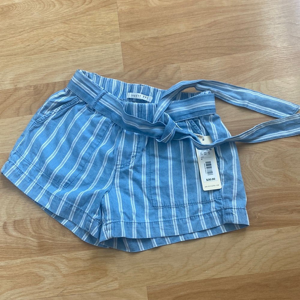 NWT Copper Key Strip Cham shorts